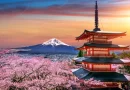 Japón abrirá fronteras y albergará visitantes internacionales