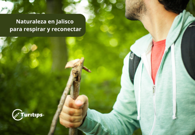 Naturaleza en Jalisco para respirar y reconectar