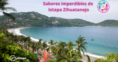 Sabores imperdibles de Ixtapa Zihuatanejo