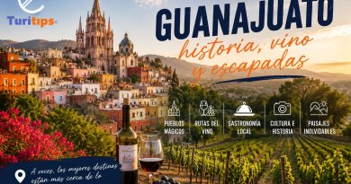 Guanajuato historia vino y escapadas