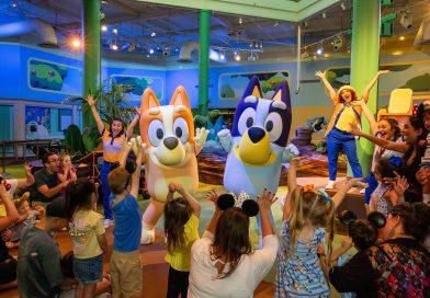 Disney World enciende el verano