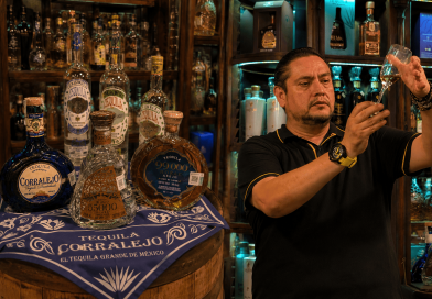 Cata de Tequila Corralejo en Santo Coyote